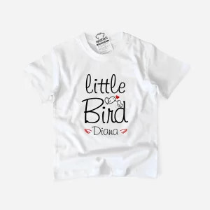 Kit Criativo para Criança Pinta a tua T-shirt - Wishirt